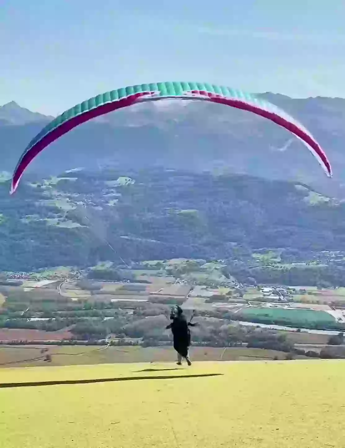 Level wings Falcon