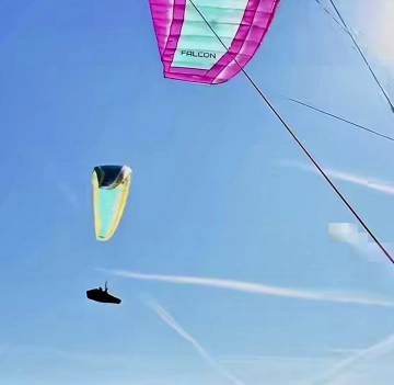 Sellette String Réversible Level Wings Fusion V3 - St Hil Air Shop